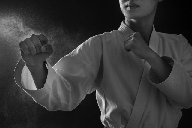 Ilustrasi untuk film kungfu terbaik di Netflix. Foto: Unsplash/Nguyen Hung