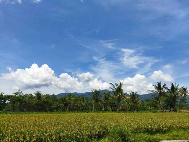 (potret keindahan Nong Pegghe') | Foto: Dok. Pribadi