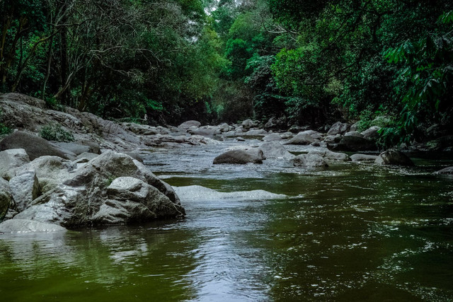Sungai Oyo Gunung Kidul. Foto hanya ilustrasi bukan tempat sebenarnya. Sumber: Pexels/Donald Tong
