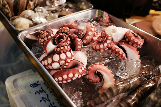 Cara memasak baby gurita agar tidak alot, foto hanya ilustrasi: Unsplash/Alex Knight