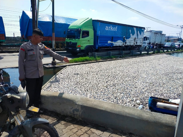 Polisi saat mendatangi tambak yang ikannya mati mendadak di Sayung, Demak. Foto: Dok. Istimewa
