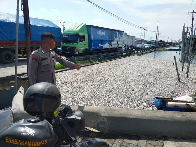Polisi saat mendatangi tambak yang ikannya mati mendadak di Sayung, Demak. Foto: Dok. Istimewa