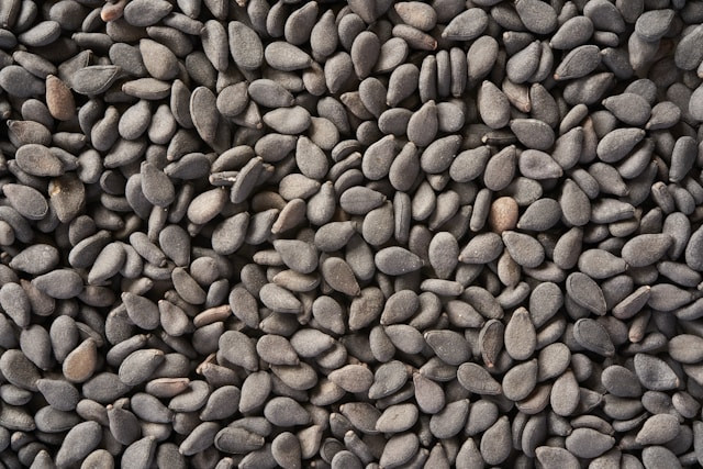 Ilustrasi Cara Menyangrai Wijen Hitam. Sumber: Unsplash/Wolfgang Hasselmann