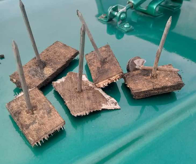 Ranjau paku di Gunung Bromo. Dok: Ist