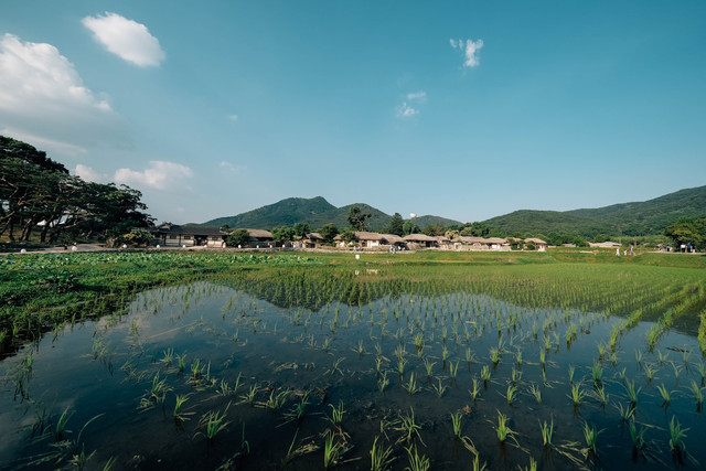 Tips Hidup Slow Living di Desa. Foto hanya sebagai ilustrasi saja. Sumber: Unsplash/insung yoon.