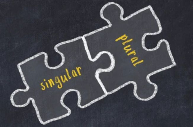 Ilustrasi relasi maknawi tunggal-jamak. (Sumber: Shutterstock)