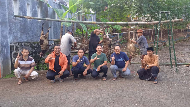 Semarak Idul Adha 1446 H, TDA Ciamis Sembelih 3 Ekor Domba di Masjid Al-Barkah