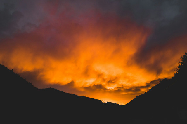 Ilustrasi Bagaimana Perumpamaan Hari Kebangkitan. Sumber: Unsplash/Fabien TWB