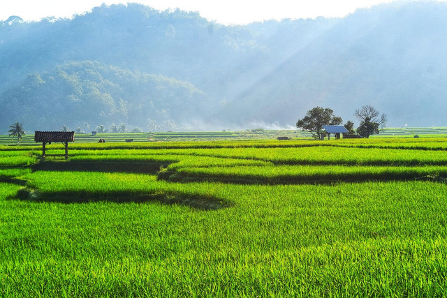 Desa Wisata Pancoh. Foto hanya ilustrasi bukan tempat sebenarnya. Sumber foto: Pixabay.