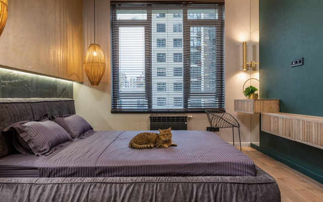 Apakah di Hotel Boleh Bawa Kucing. Foto hanya ilustrasi, bukan sebenarnya. Sumber: pexels.com/Max Vakhtbovycn