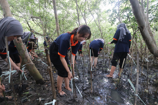Kampus di Surabaya Tanamkan Peduli Lingkungan, Ajak Mahasiswa Tanam Mangrove