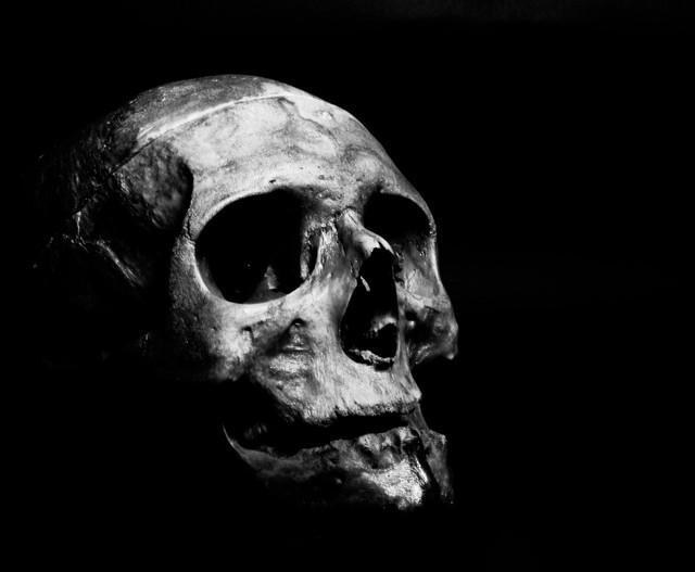 sumber ilustrasi : pexel.com/ahmedadly