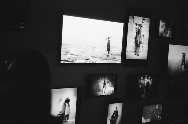 Ilustrasi untuk film dokumenter terbaik di Netflix. Foto: Unsplash/Kaspars Eglitis