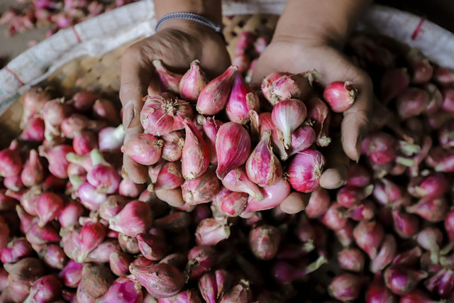 Pekerja sibuk memilah bawang merah di Pasar Induk Kramat Jati, Jakarta, Rabu (18/6/2025). Foto: Jamal Ramadhan/kumparan