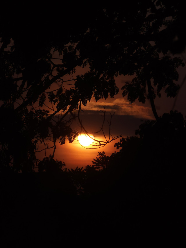 Di senja yang menelan cahaya perlahan, keindahan dan kesendirian saling bersinggungan. Seperti tokoh dalam The Yellow Wallpaper, yang terperangkap bukanlah tubuh, tapi pikirannya.📸: Foto oleh Kamalia Rosidah (dokumentasi pribadi)