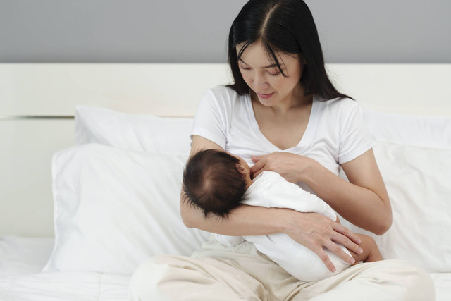 Ilustrasi ibu menyusui. Foto: Shutterstock