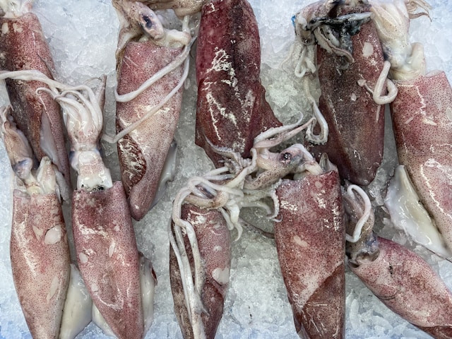 Ilustrasi untuk Cara Membersihkan Cumi. Sumber: Unsplash/John Cameron