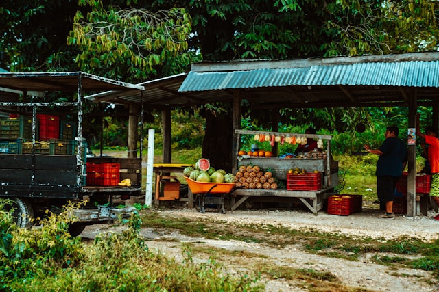 Pilihan Usaha Rumahan untuk Pensiunan. Foto Hanya Ilustrasi, Bukan Sebenarnya. Sumber Foto: Unsplash.com/Meritt Thomas