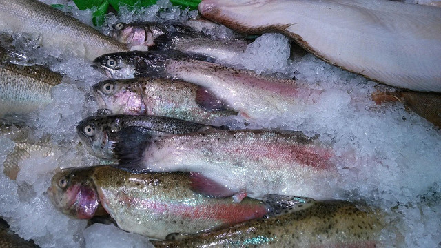 Ilustrasi Cara agar Frozen Food Awet, Foto: Pixabay/PublicDomainPictures