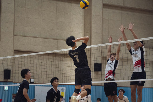 Ilustrasi link live streaming voli indonesia vs pakistan - Sumber: unsplash.com/@horseratbros