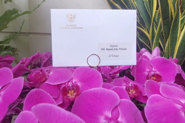 Anggrek ungu kado Presiden Prabowo Subianto untuk ultah Presiden ke-7 Joko Widodo. Foto: kumparan