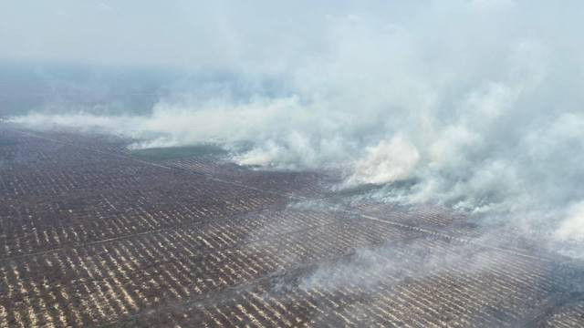 Suasana Karhutla di OKI, Foto : Istimewa