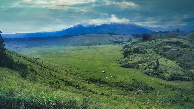 Wisata Bondowoso Mirip Bali. Foto Bukit di Kawah Wurung. Sumber: unsplash.com/Rio Bahtiar