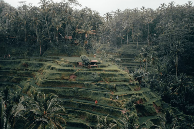 Wisata Garut Mirip Bali. Foto hanyalailustrasi bukan tempat sebenarnya. Sumber: Unsplash/Radoslav Bali