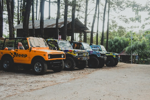 Wisata Pijar Park. Foto hanya ilustrasi, bukan sebenarnya. Sumber: unsplash.com/adventure space