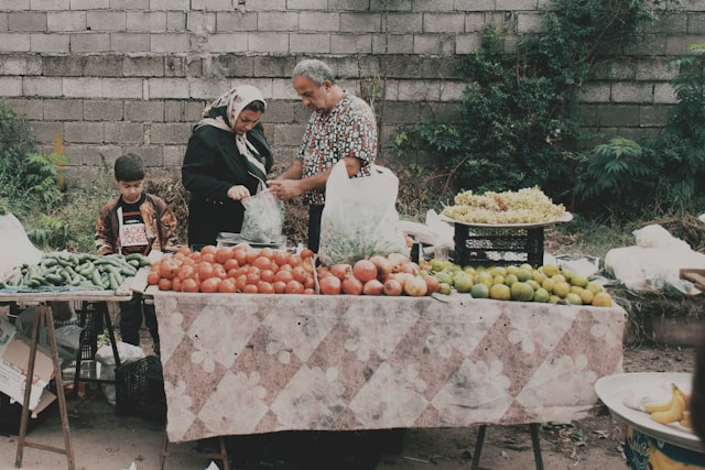 Usaha untuk Orang Tua di Desa. Foto Hanya Ilustrasi, Bukan Sebenarnya. Sumber Foto: Unsplash.com/joan m