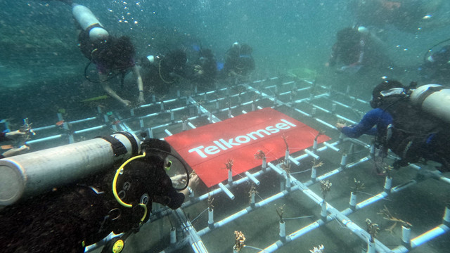 Media pembesaran terumbu karang dari program Konservasi Terumbu Karang Telkomsel diletakkan di Pantai Malalayang, Manado. (foto: istimewa) 