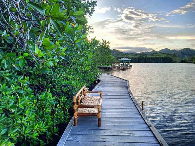 Hutan mangrove Petengoran, salah satu destinasi wisata di Kecamatan Teluk Pandan, Kabupaten Pesawaran,  | Foto : Dok. Lampung Geh