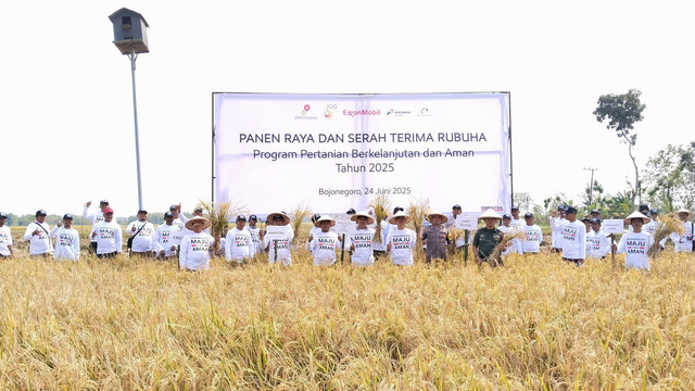 Kegiatan panen raya petani di sekitar jalur pipa minyak Lapangan Banyu Urip dan Kedung Keris di Kabupaten Bojonegoro. Selasa (24/06/2025) (Aset: Istimewa)