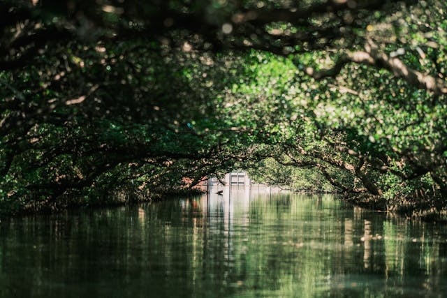 Tempat bersejarah di Jakarta yang jarang diketahui. Foto hanya ilustrasi bukan sebenarnya. Sumber foto: Pexels/Ryan Lee