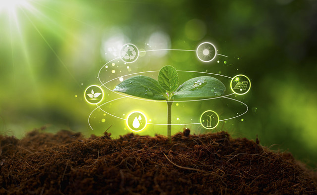 Ilustrasi Ekonomi Hijau. Foto: Shutterstock