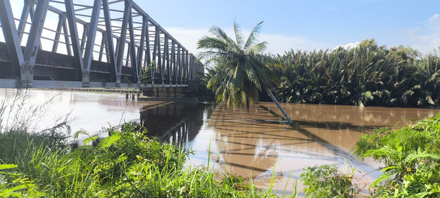 Pohon kelapa di tengah Sungai Mempawah. Foto: M. Zain/Hi!Pontianak