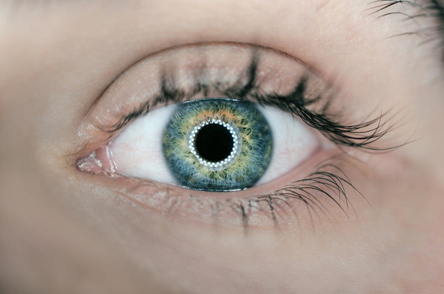 Ilustrasi Cara Merendam Softlens Baru agar Aman Digunakan, Unsplash/Arteum.ro