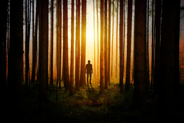 Ilustrasi film yang mirip Orphan. Foto Unsplash/ Johannes Plenio