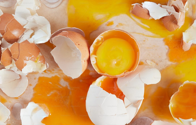 Ilustrasi telur/Unsplash/Olivie Strauss
