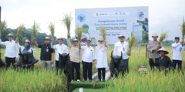 Pemerintah daerah (Pemda) Kabupaten Banyuwangi, akademisi, dan para mitra dalam panen beras biortifikasi. Foto: Pandawa Agri.