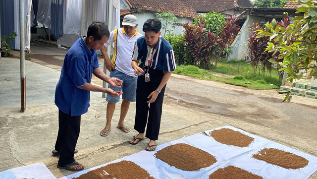 Mahasiswa KKN-T dari Universitas Diponegoro melakukan sosialisasi kepada pembudidaya mengenai penambahan ragi roti (Saccharomyces cerevisiae) pada pakan ikan lele sebagai upaya meningkatkan efisiensi konsumsi pakan ikan lele. Sumber foto: Muhammad Rafi Prasetyo.