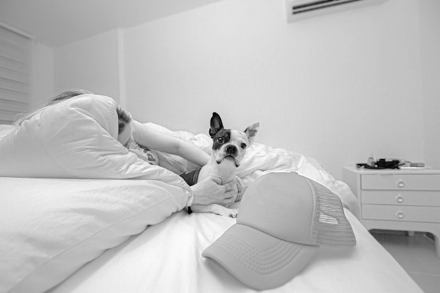 Hotel di Pangandaran Pet Friendly. Foto hanyalah ilustrasi bukan tempat sebenarnya. Sumber: Unsplash/Andrés Gómez