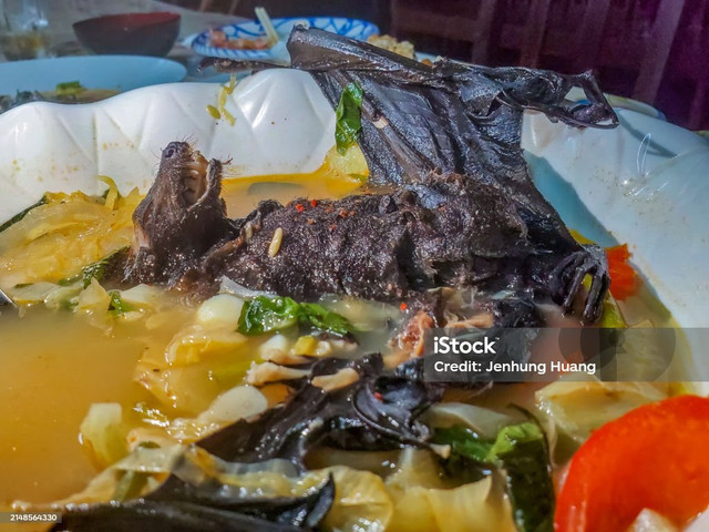 Sup kalong ; Sumber: www.istockphoto.com