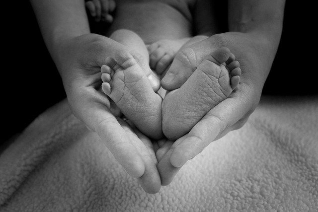 Ilustrasi susu formula untuk menambah berat badan bayi 6-12 bulan. Sumber : Pixabay/Pexels