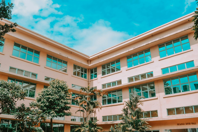 Ilustrasi sekolah kedinasan. Foto: Unsplash