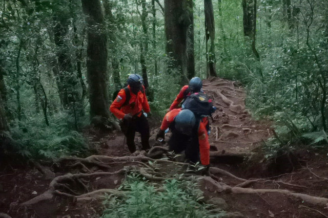 Proses pencarian 4 remaja tersesat di Gunung Batukaru, Bali. Foto: Basarnas