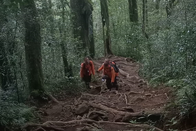 Proses pencarian 4 remaja tersesat di Gunung Batukaru, Bali. Foto: Basarnas
