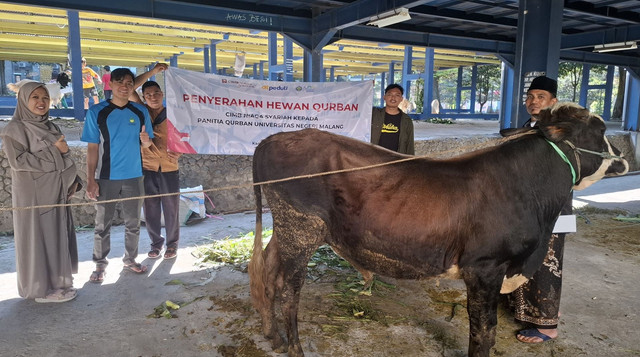 1 Ekor Sapi Qurban dari CIMB Niaga Syariah dan dibagikan oleh DT Peduli Malang kepada masyarakat Kelurahan Sumbersari, Lowokwaru (Sumber : DT Peduli)