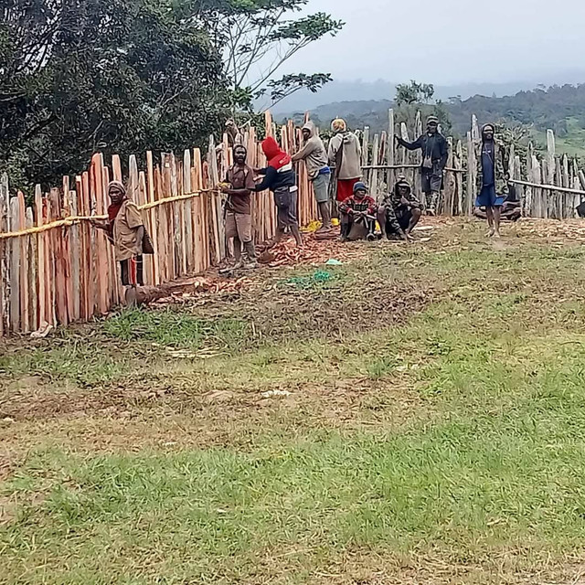 Pembuatan Pagar Suku Mee ( Dok. Pribadi)