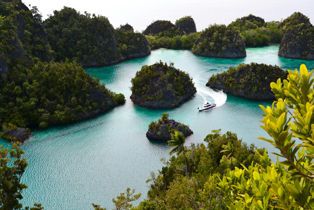 Tujuan Wisata Terkenal di Papua Barat. Foto: Raja Ampat. Sumber: unsplash.com/Ridho Ibrahim.